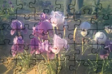  jigsaw puzzle