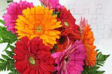 Gerberas no branco jigsaw puzzle