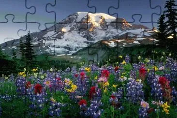 PARAÃSO jigsaw puzzle