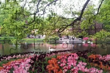 Keukenhof Gardens and Tulips Fields jigsaw puzzle