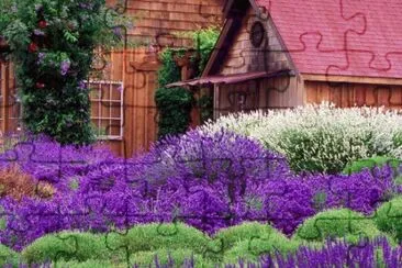 Jardim de Lavanda jigsaw puzzle