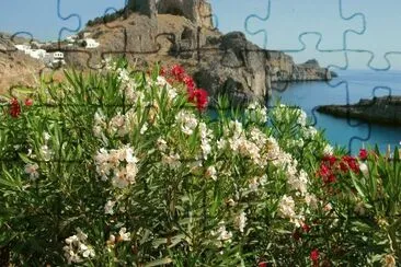 Flores na montanha jigsaw puzzle