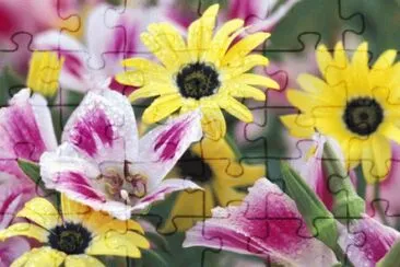 Daisy Flower jigsaw puzzle