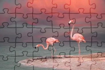 FLAMINGOS jigsaw puzzle