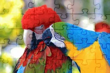 Arara Vermelha jigsaw puzzle