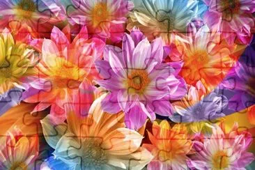 Rainbow Petals jigsaw puzzle