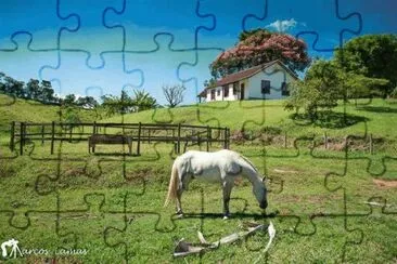 campo jigsaw puzzle