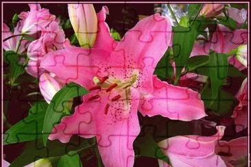 fleurs: lys jigsaw puzzle