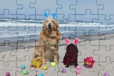 Dogs Celebrate Easter on the Beach-San Diego