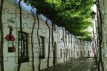 Casa y Calle. jigsaw puzzle