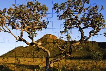 Cerrado - Bahia jigsaw puzzle