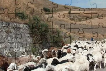 goats jigsaw puzzle