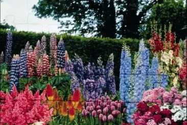 The Garden jigsaw puzzle