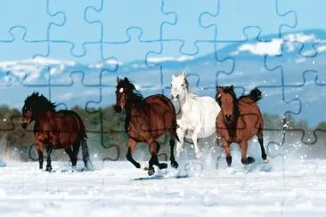 Horses in the Snow jigsaw puzzle