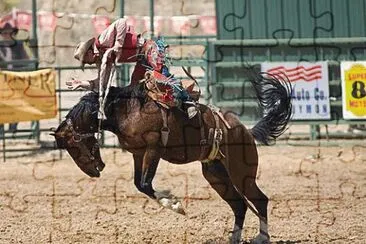 Rodeo Horse jigsaw puzzle