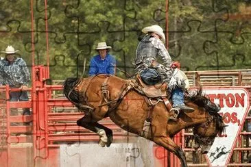 Rodeo Horse jigsaw puzzle