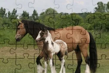 Gypsy Horses jigsaw puzzle