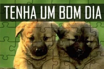 - 3- cachorrinho