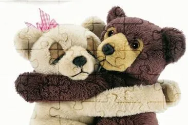 ours en peluche