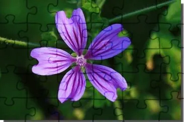 fleur jigsaw puzzle