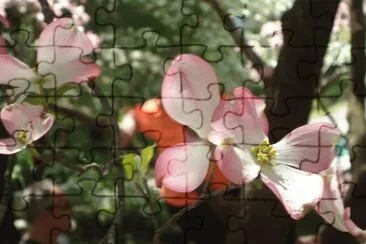 Dogwood jigsaw puzzle