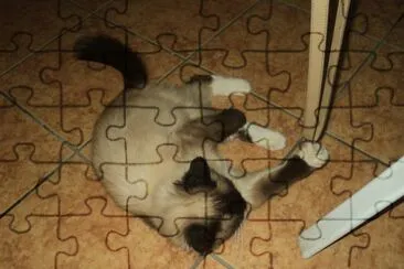 Gatita revoltosa jigsaw puzzle