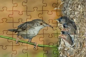 mom #144 jigsaw puzzle