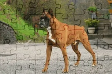 v jigsaw puzzle