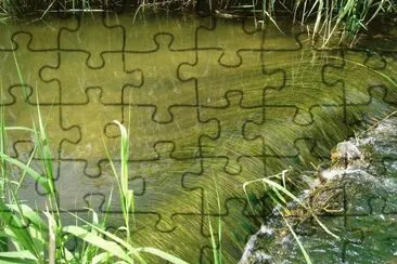 rio serpis jigsaw puzzle