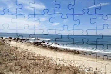 Martha 's Vineyard jigsaw puzzle