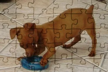 gigante jigsaw puzzle