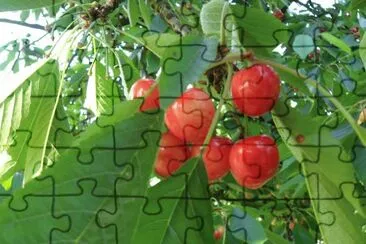 natura jigsaw puzzle