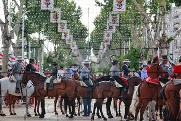 caballos en feria