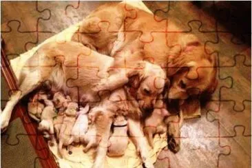 mom #145 jigsaw puzzle