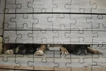 Who 's There? jigsaw puzzle