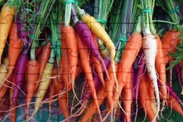 Colored Carrots