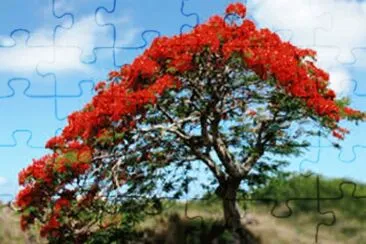 Flamboyant jigsaw puzzle