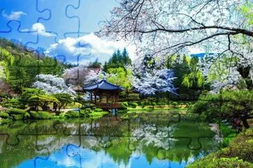 jardin japonais jigsaw puzzle