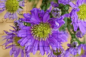 Purple Flowers jigsaw puzzle