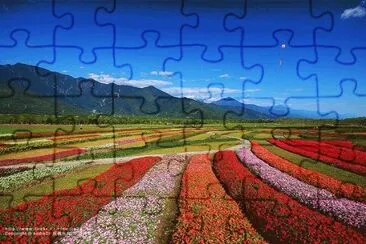 Taiwan jigsaw puzzle