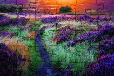 couleurs jigsaw puzzle