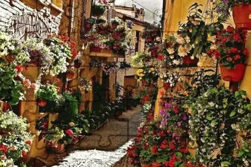 callejÃ³n florido jigsaw puzzle