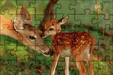 animaux: biche et son faon jigsaw puzzle