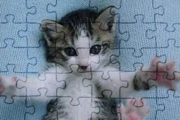 animaux: jigsaw puzzle