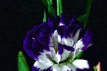 fleurs: lysianthus jigsaw puzzle