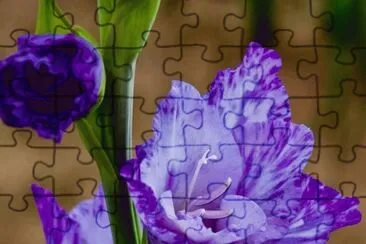 fleurs: jigsaw puzzle