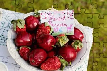 Vibrant Red Forest  Berries