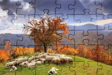 186 jigsaw puzzle