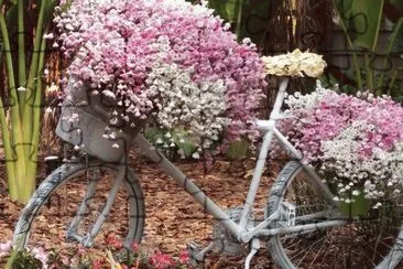 Pink and White Garden Bicycle