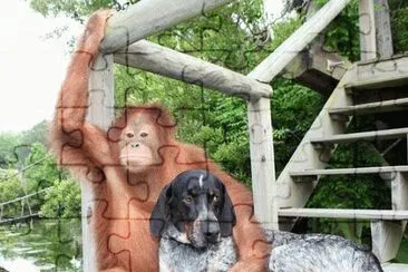 singe et chien jigsaw puzzle